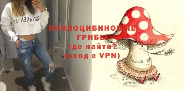 марки lsd Бородино