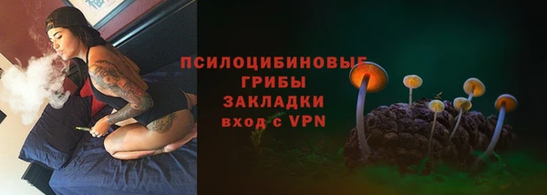 ECSTASY Бронницы