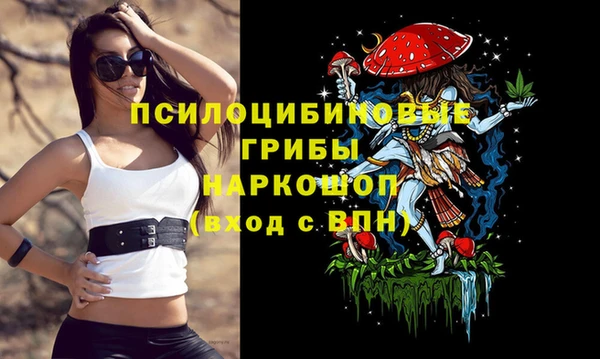 ECSTASY Бронницы